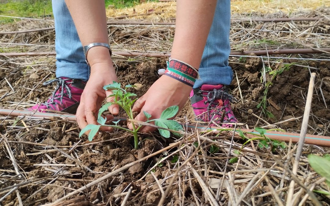 Estrenamos nuestro blog con la inauguración del Huerto de Rabanales