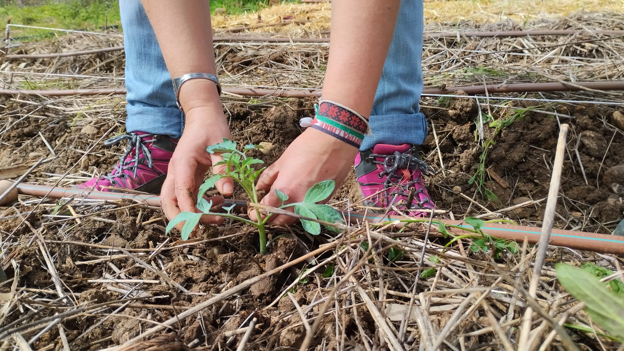 Estrenamos nuestro blog con la inauguración del Huerto de Rabanales