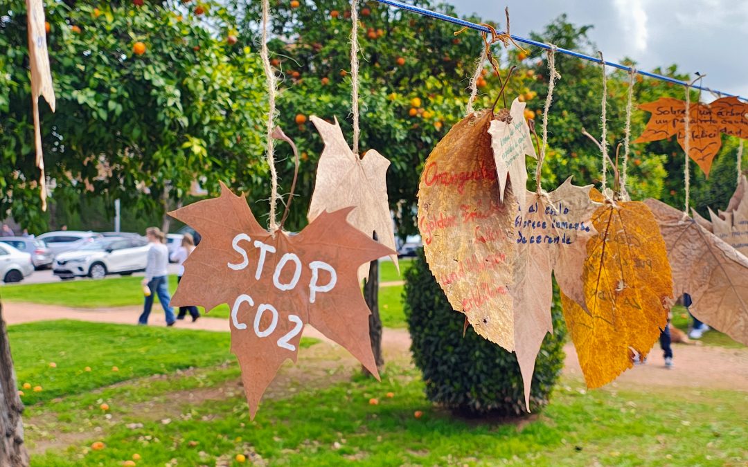 Mariquitas, bosques y poesía.