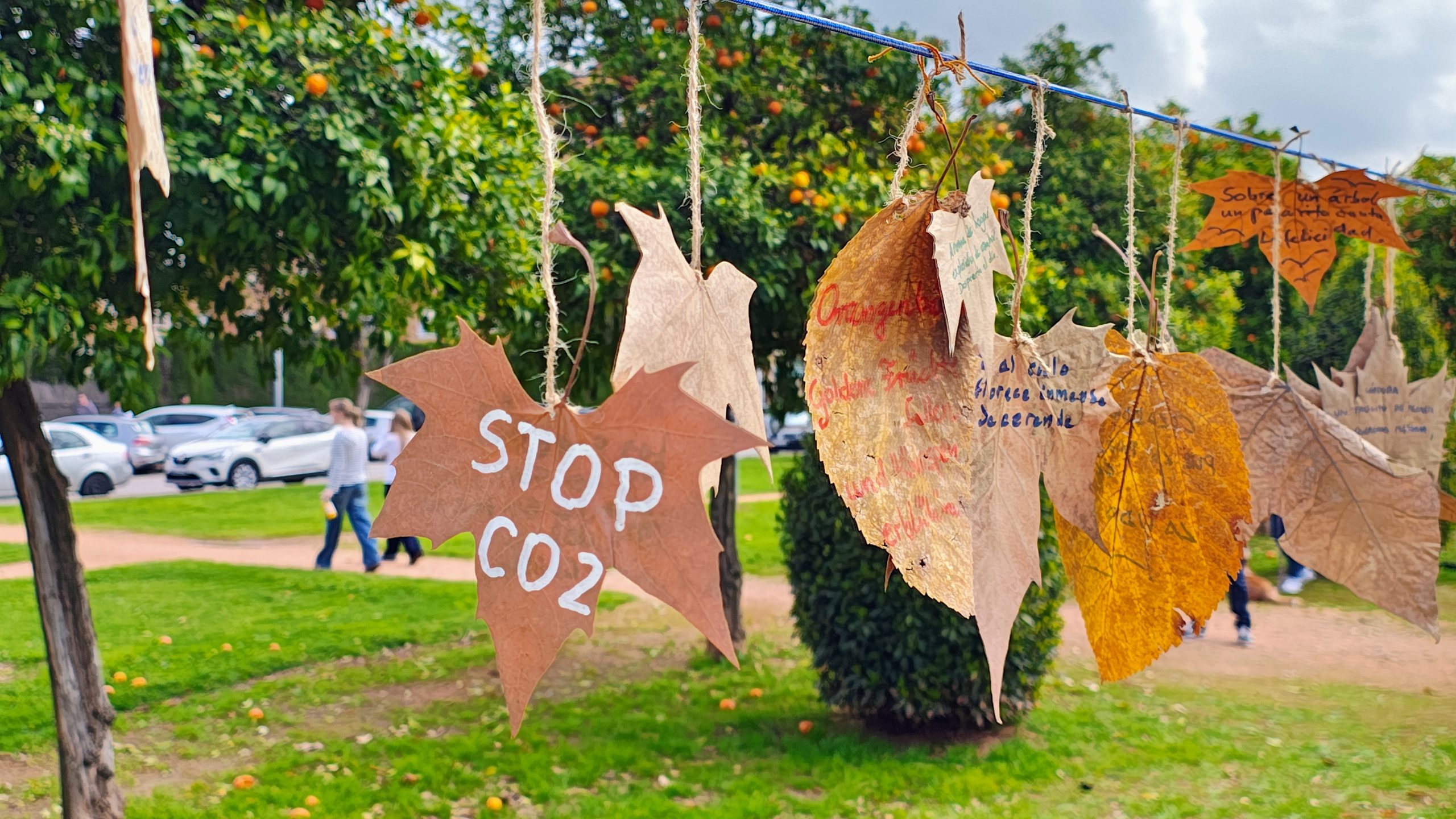 Mariquitas, bosques y poesía.