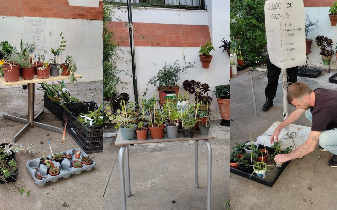 Intercambiando plantas y tejiendo comunidad