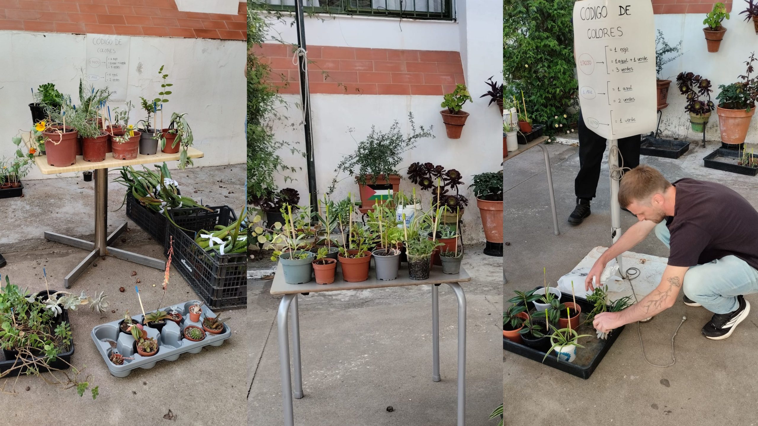 Intercambiando plantas y tejiendo comunidad